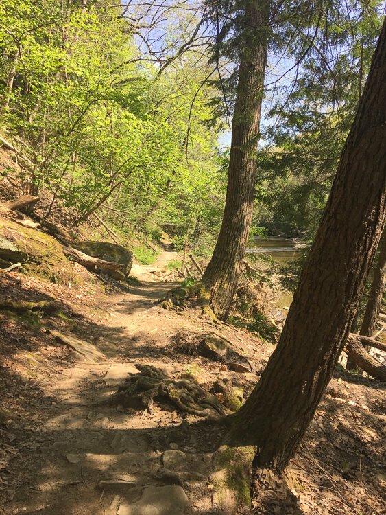 Part of Henry Church Rock Loop trail runs adjacent to Chagrin River.